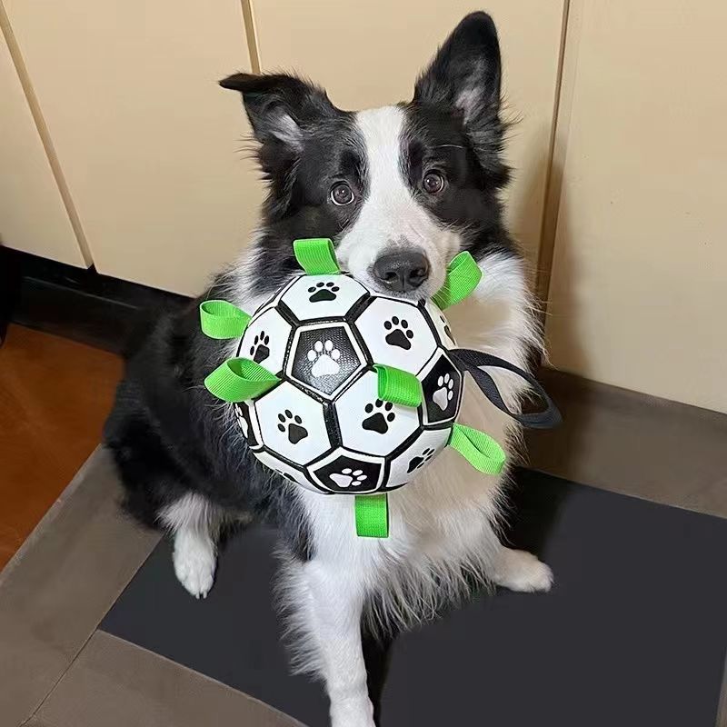 Pet Football Toy
