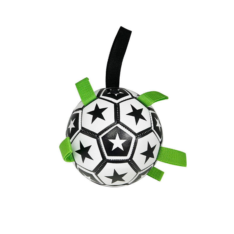 Pet Football Toy