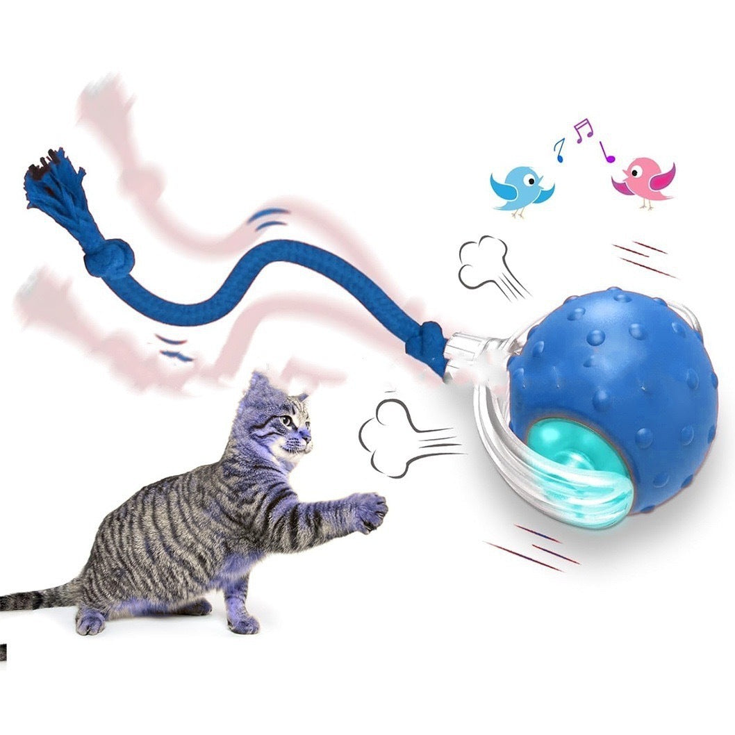 Pet Automatic Rolling Ball Toy